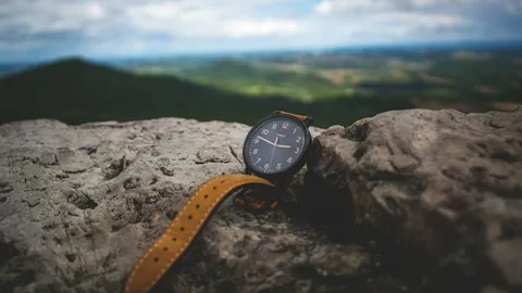 Can A Watch Become Magnetized? Causes And Fixes