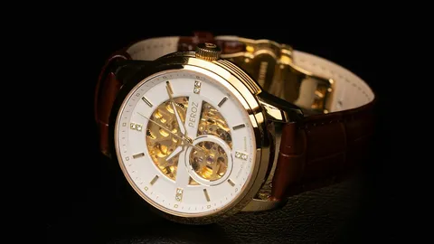 Do You Need A Watch Winder For Automatic Watches?
