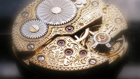 Dress Watch Vs Sport Watch: Building A Two-Watch Collection