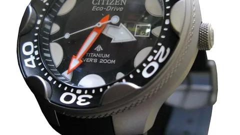 The History Of The Dive Watch: From Tool To Icon