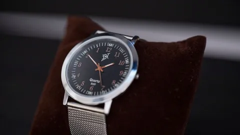 How To Remove Watch Bracelet Pins At Home