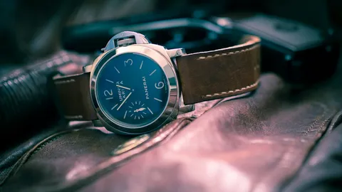 Panerai Luminor History: Navy Tool to Public Icon