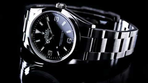 Rolex Milgauss History: CERN, 1019, Anti-Magnetic Shield