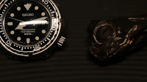 Seiko Turtle History: 6309 Cushion Case Dive Icon