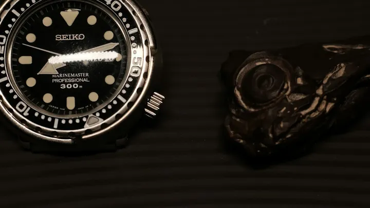 Seiko Turtle History: 6309 Cushion Case Dive Icon